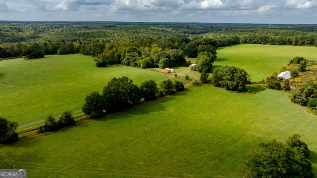 a view of yard with swimming pool and trees in the background