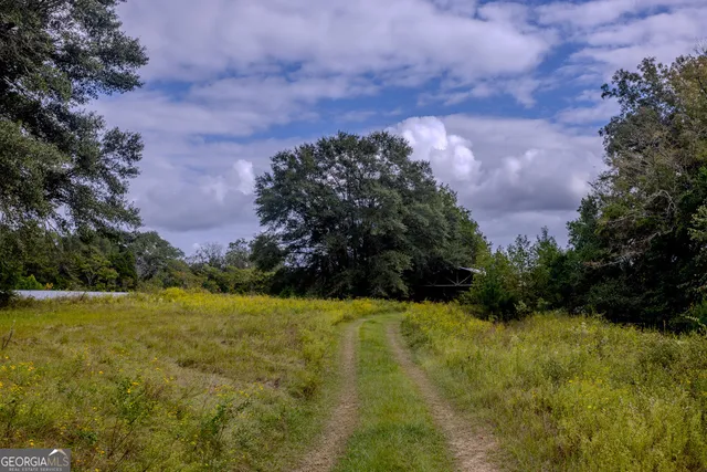 an aerial view of a houses with outdoor space and trees