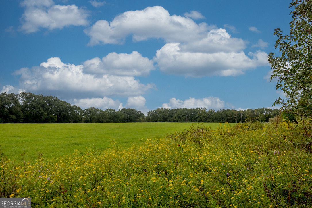 2141 Ebenezer Road Ellaville, GA 31806 - Photo 45 of 50 a view of an ocean and a yard
