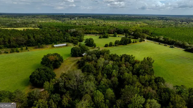 a view of a lush green forest with a houses