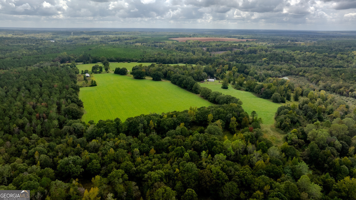 2141 Ebenezer Road Ellaville, GA 31806 - Photo 47 of 50 an aerial view of a houses with outdoor space and trees