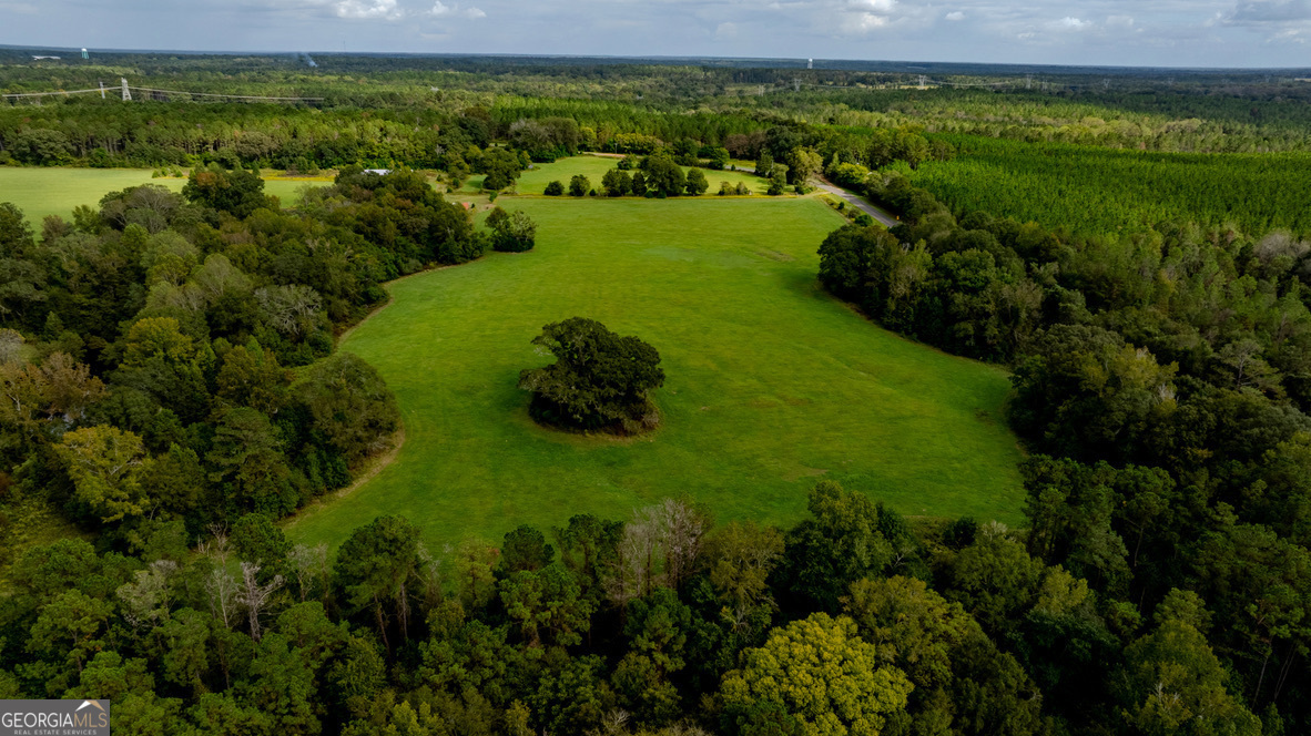 2141 Ebenezer Road Ellaville, GA 31806 - Photo 49 of 50 a view of a lush green forest with a houses