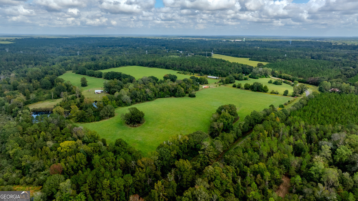 2141 Ebenezer Road Ellaville, GA 31806 - Photo 10 of 50 a view of a garden with large trees