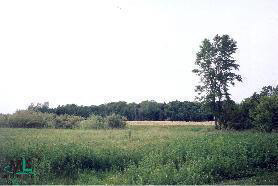 6505 Suerwier Road Applegate, MI 48401 - Photo 3 of 3 350929-2.JPG