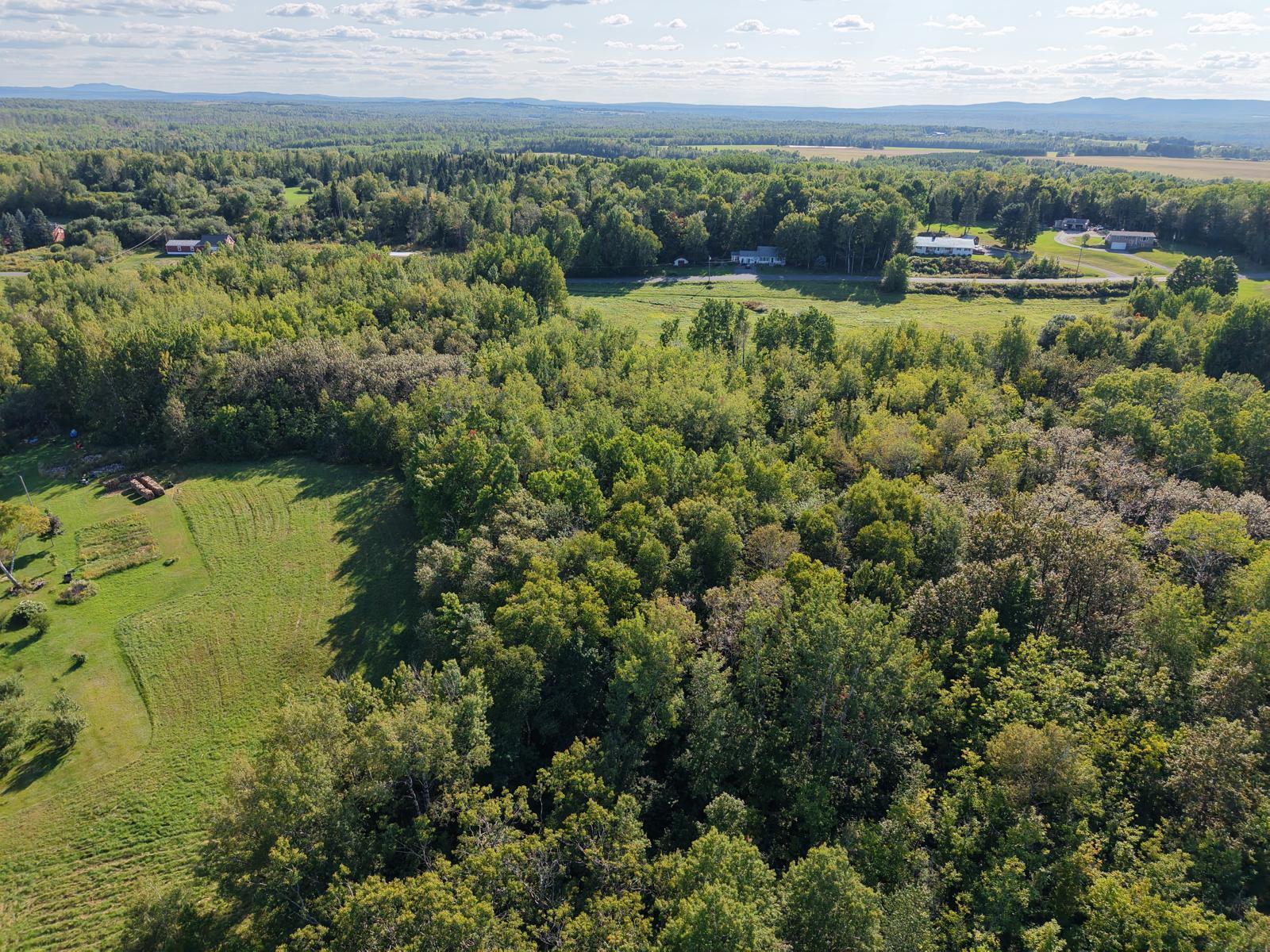 197 Spragueville Road Presque Isle, ME 04769 - Photo 9 of 10 Land