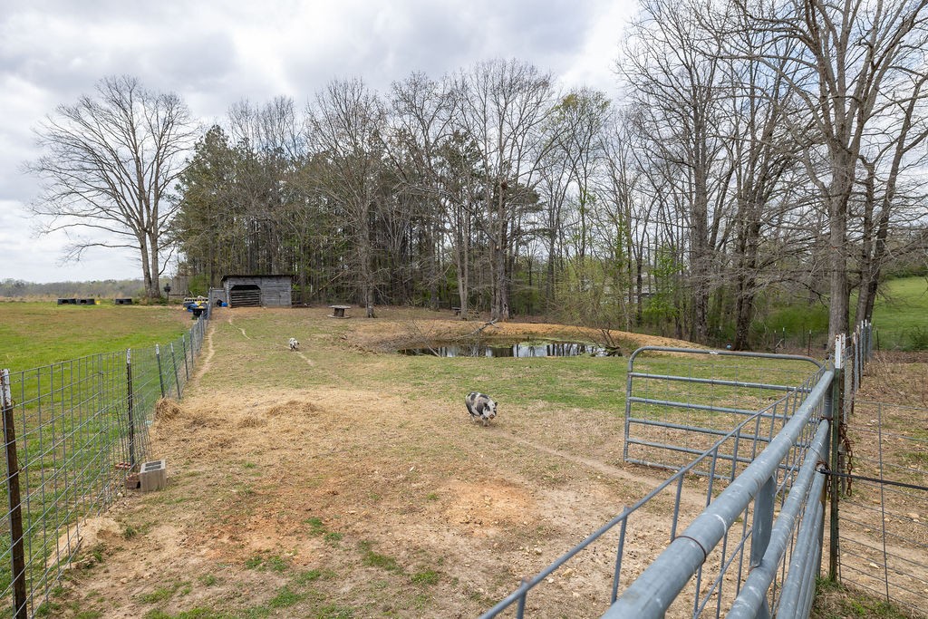 137 Piney Road Lawrenceburg, TN 38464 - Photo 27 of 33 a view of a basketball court