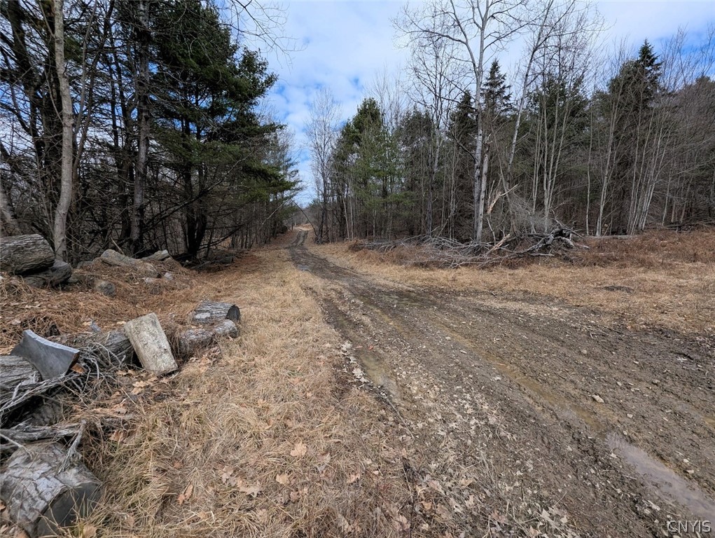 Welty Road Lindley, NY 14858 - Photo 1 of 1 Gallery Image 1