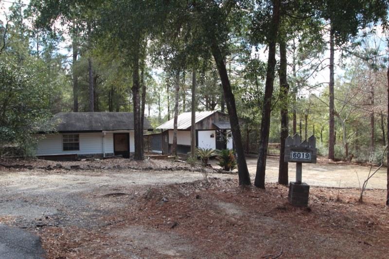 6019 Gagnon Road Crestview, FL 32539 - Photo 16 of 36 a view of a trees in a yard with large trees