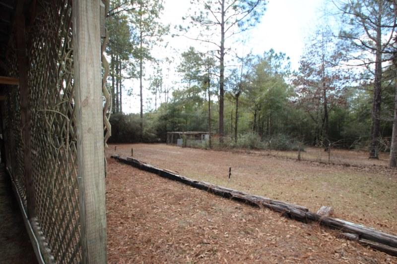 6019 Gagnon Road Crestview, FL 32539 - Photo 32 of 36 a view of a backyard with trees