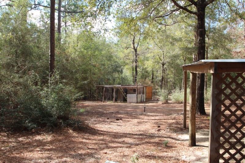 6019 Gagnon Road Crestview, FL 32539 - Photo 34 of 36 a view of a backyard