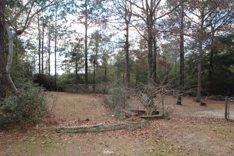 6019 Gagnon Road Crestview, FL 32539 - Photo 8 of 36 a view of a forest with trees in the background
