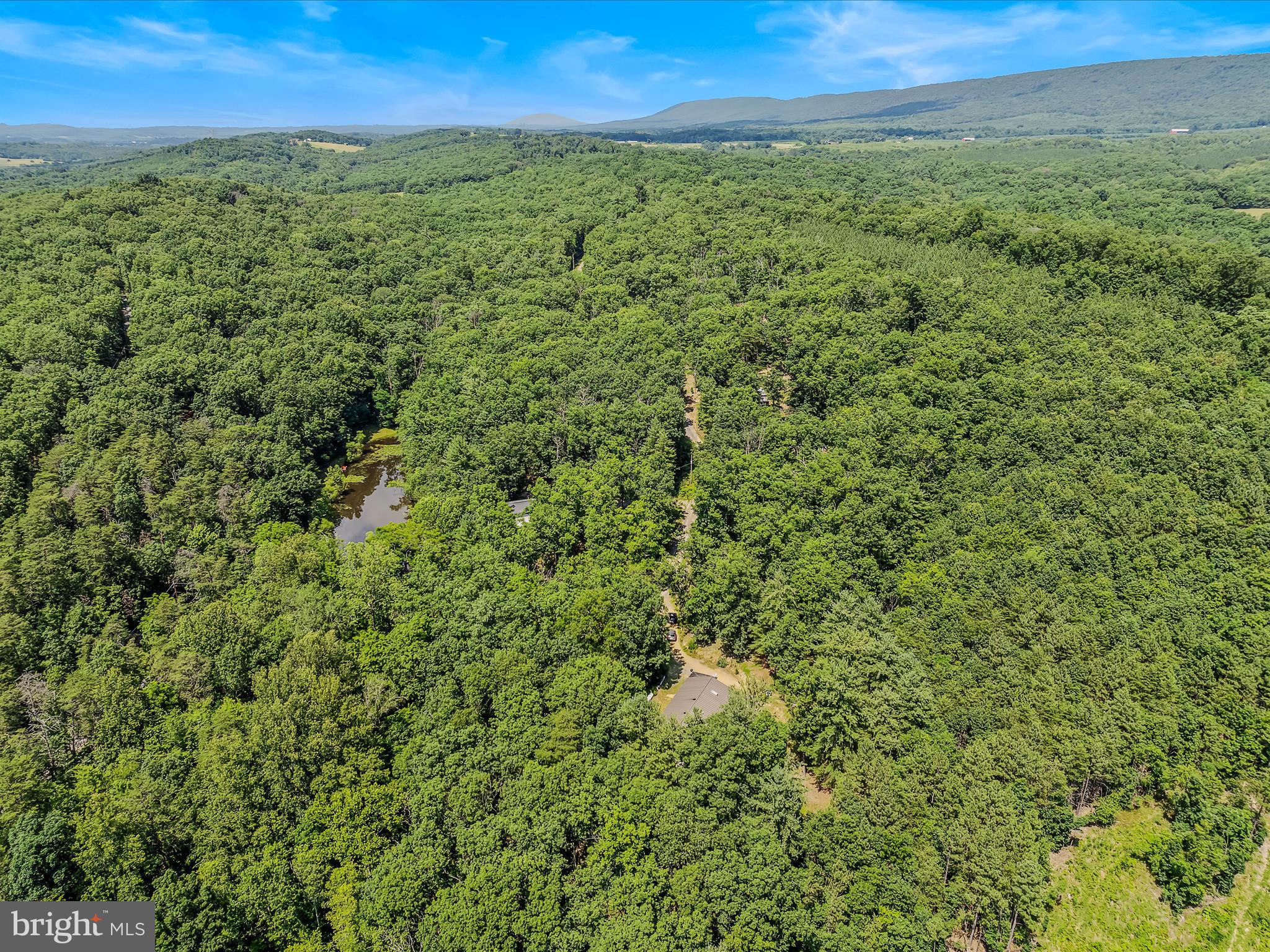 378 Oak Hill Road Berkeley Springs, WV 25411 - Photo 57 of 57 a view of a green field with lots of bushes