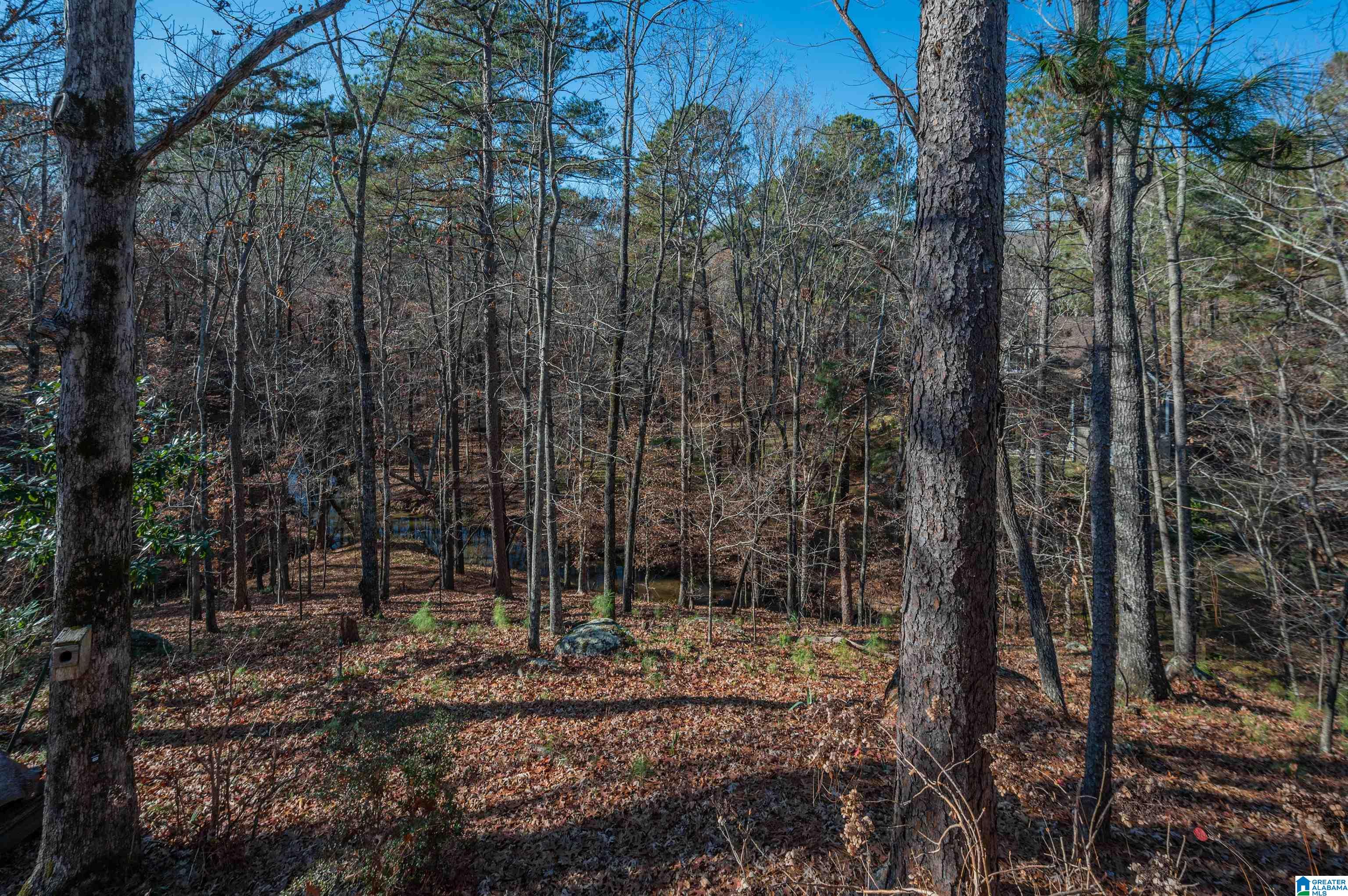 2754 Stevens Creek Road Birmingham, AL 35244 - Photo 46 of 50