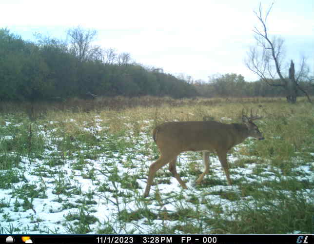 0 Fox River Road Burlington, WI 53105 - Photo 12 of 13 Gallery Image 12