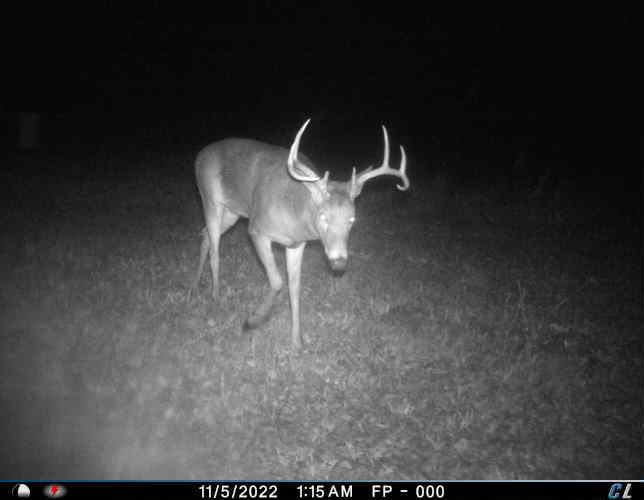 0 Fox River Road Burlington, WI 53105 - Photo 13 of 13 Gallery Image 13
