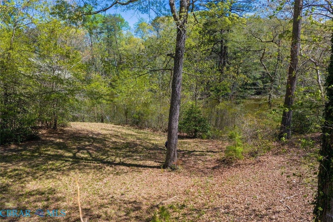 0 Dancers Creek Road Gloucester, VA 23061 - Photo 19 of 22