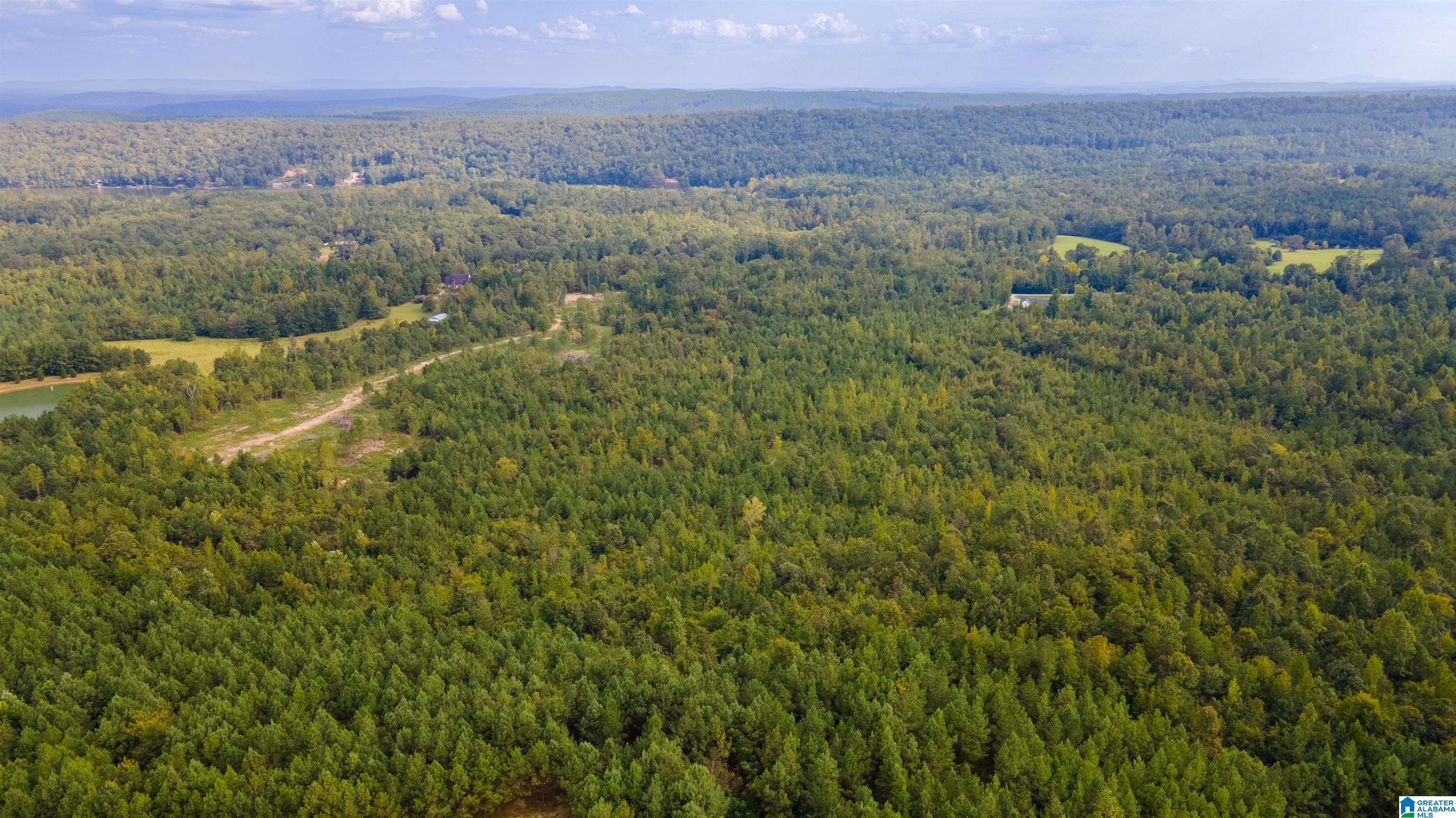 10675 Shoal Creek Road, Unit X Ashville, AL 35953 - Photo 9 of 19
