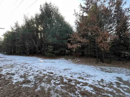 $13,200 | Lot 1 Sandy Pines, Redgranite, WI 54970