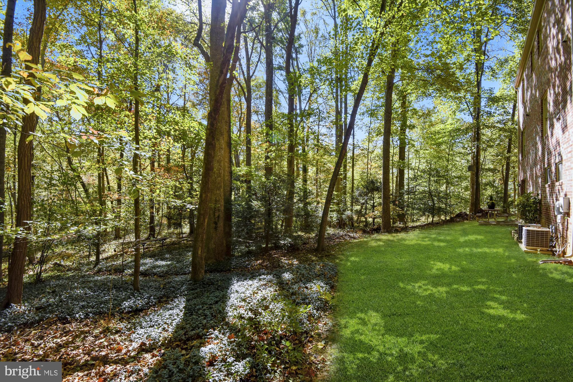 2308 Short Ridge Road Reston, VA 20191 - Photo 30 of 37 Back lawn with plenty of space