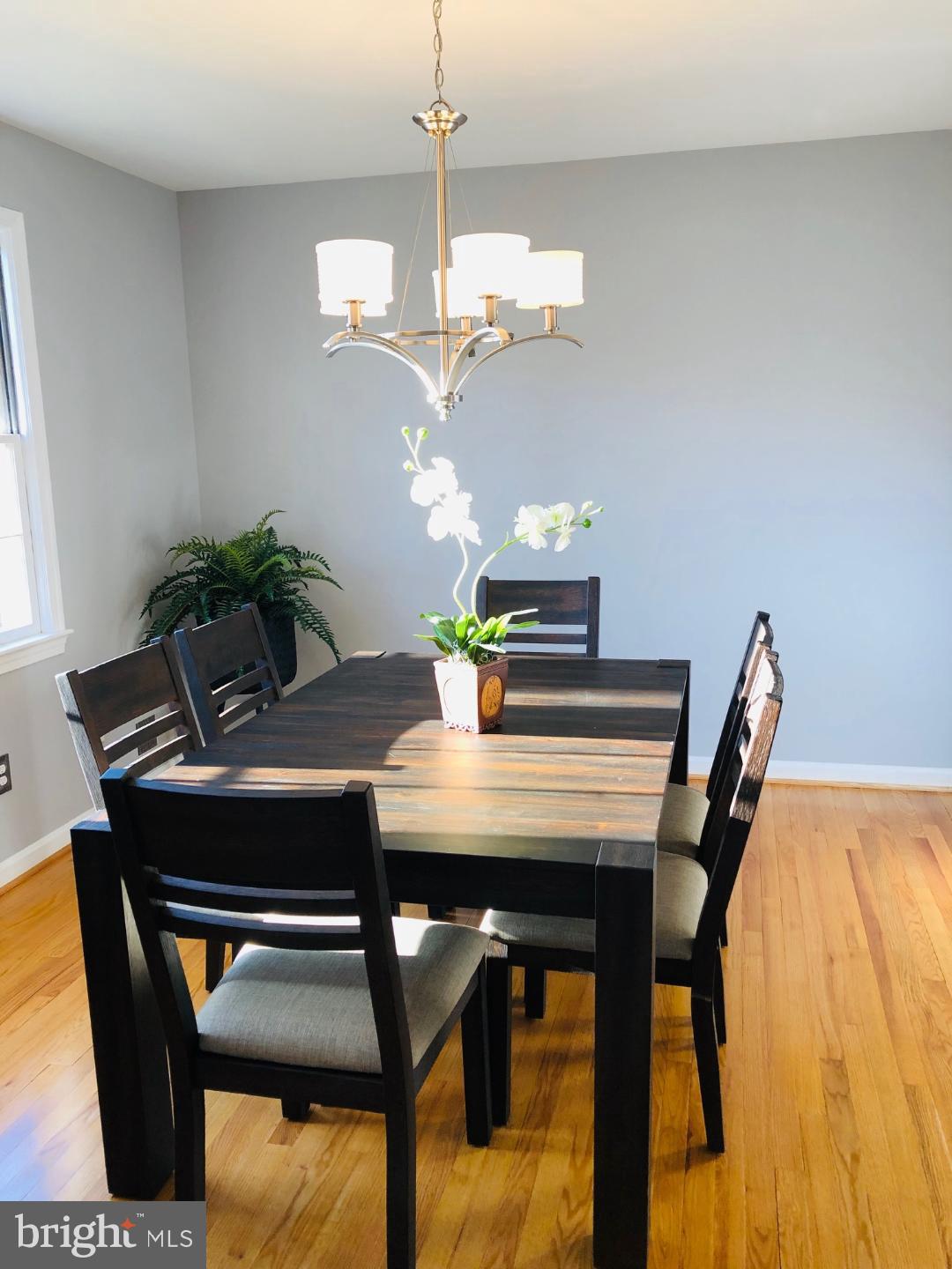 2308 Short Ridge Road Reston, VA 20191 - Photo 9 of 37