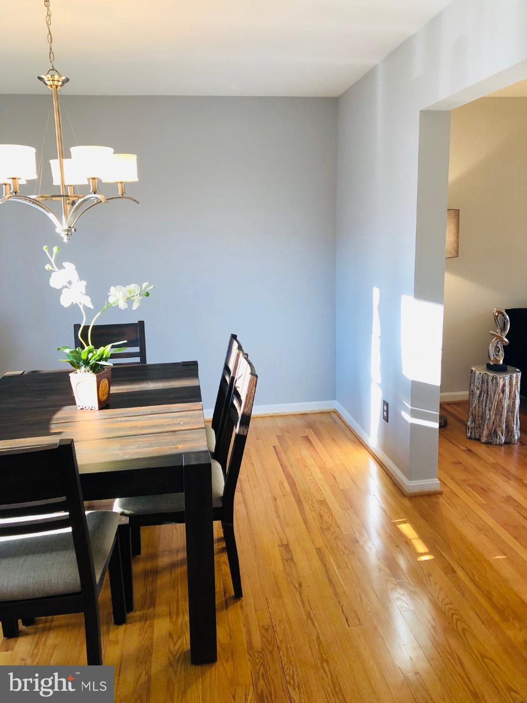 2308 Short Ridge Road Reston, VA 20191 - Photo 10 of 37