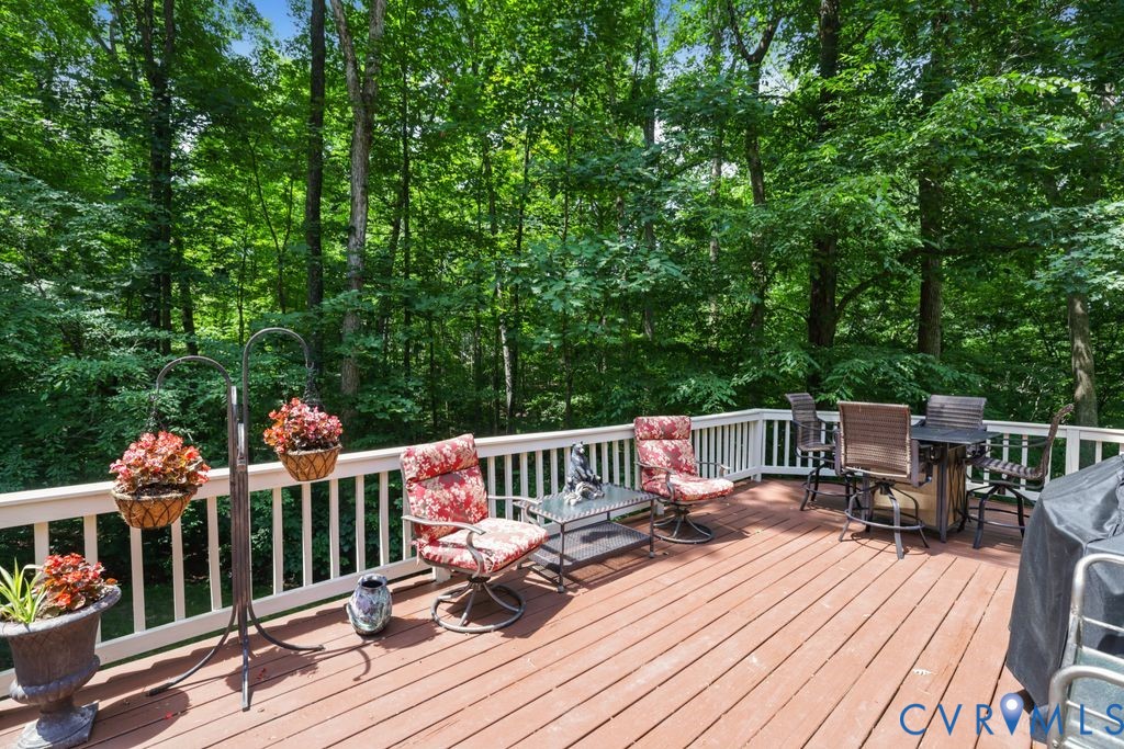 14010 Harbour Pointe Road Midlothian, VA 23112 - Photo 53 of 84