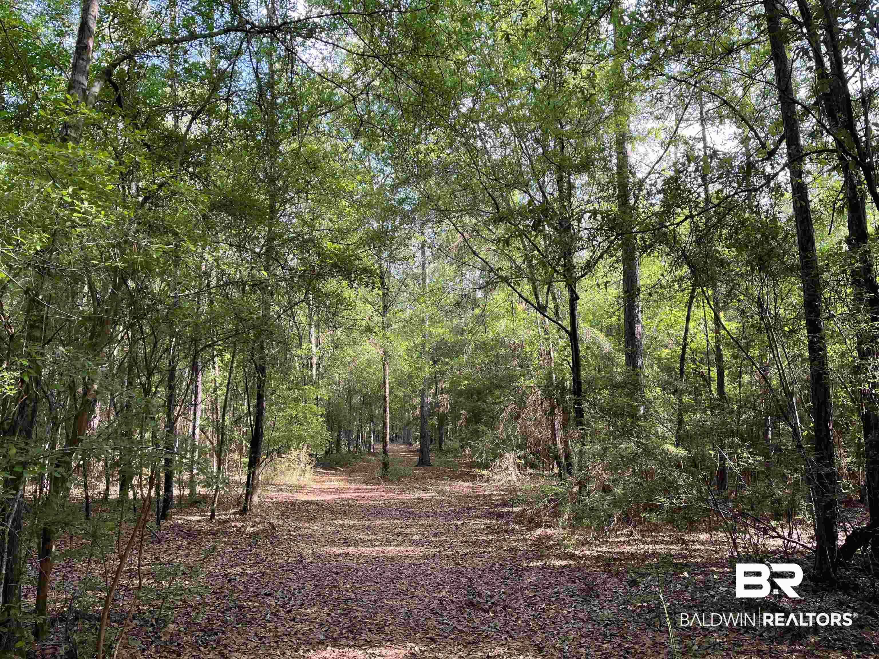 24250 Hack Road Bay Minette, AL 36507 - Photo 80 of 88 Enjoy numerous trails on this property for Walking, Horse back Riding, or 4 wheeling.