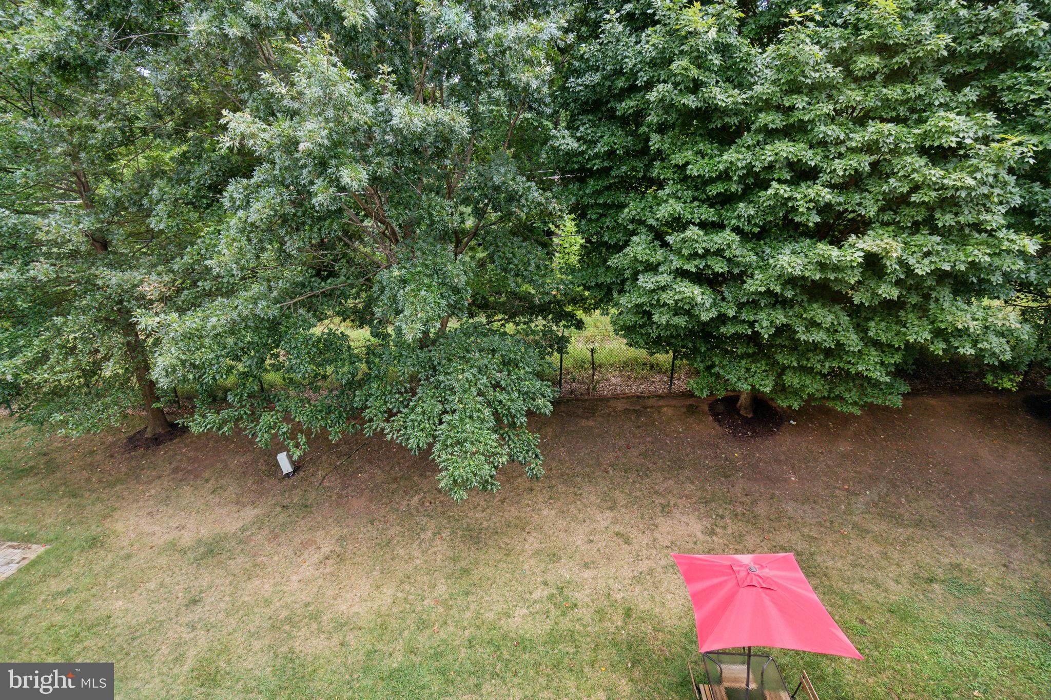 1745 Chiswick Court Silver Spring, MD 20904 - Photo 51 of 51