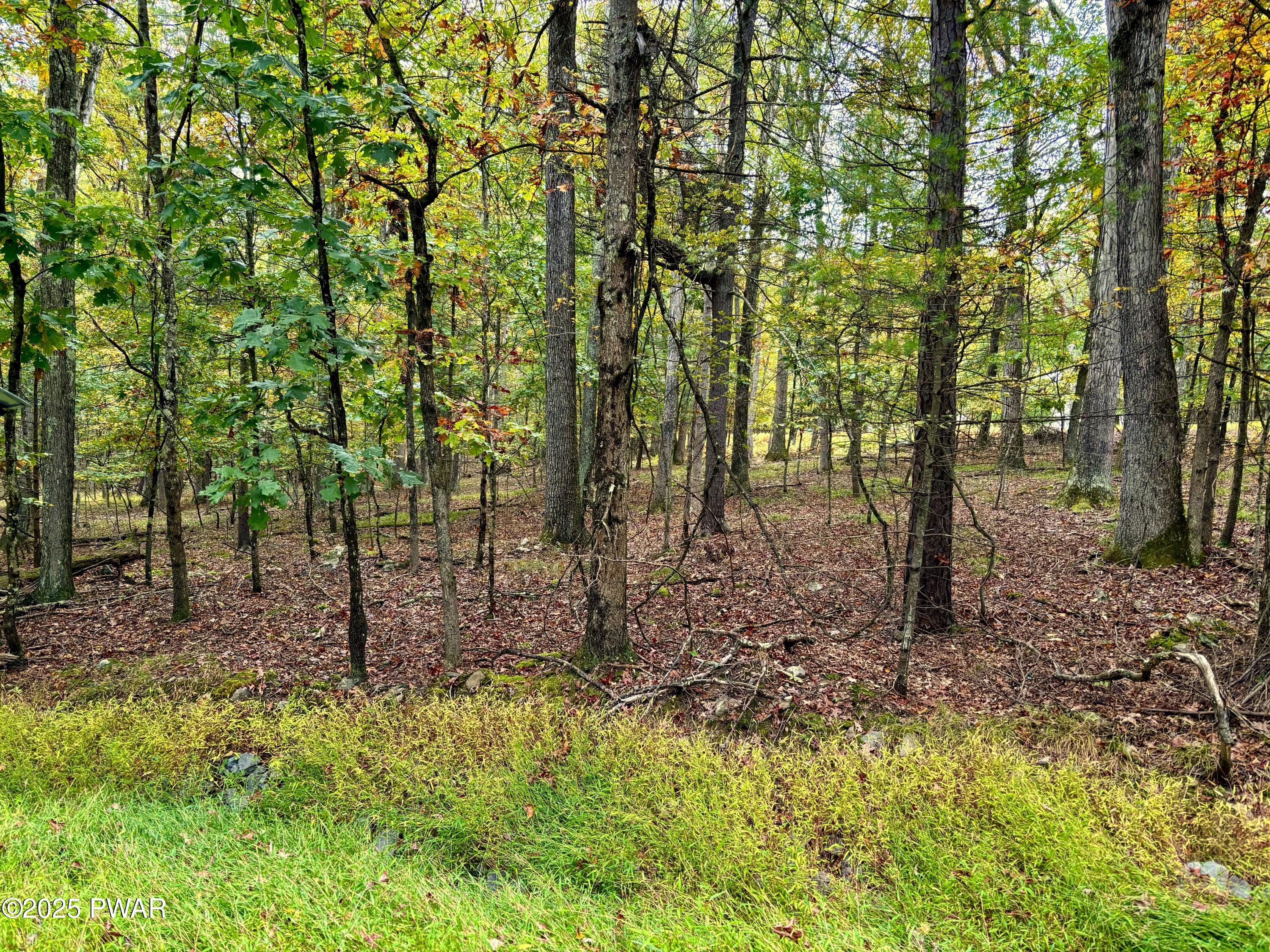 352 Timber Ridge Drive Hawley, PA 18428 - Photo 1 of 14