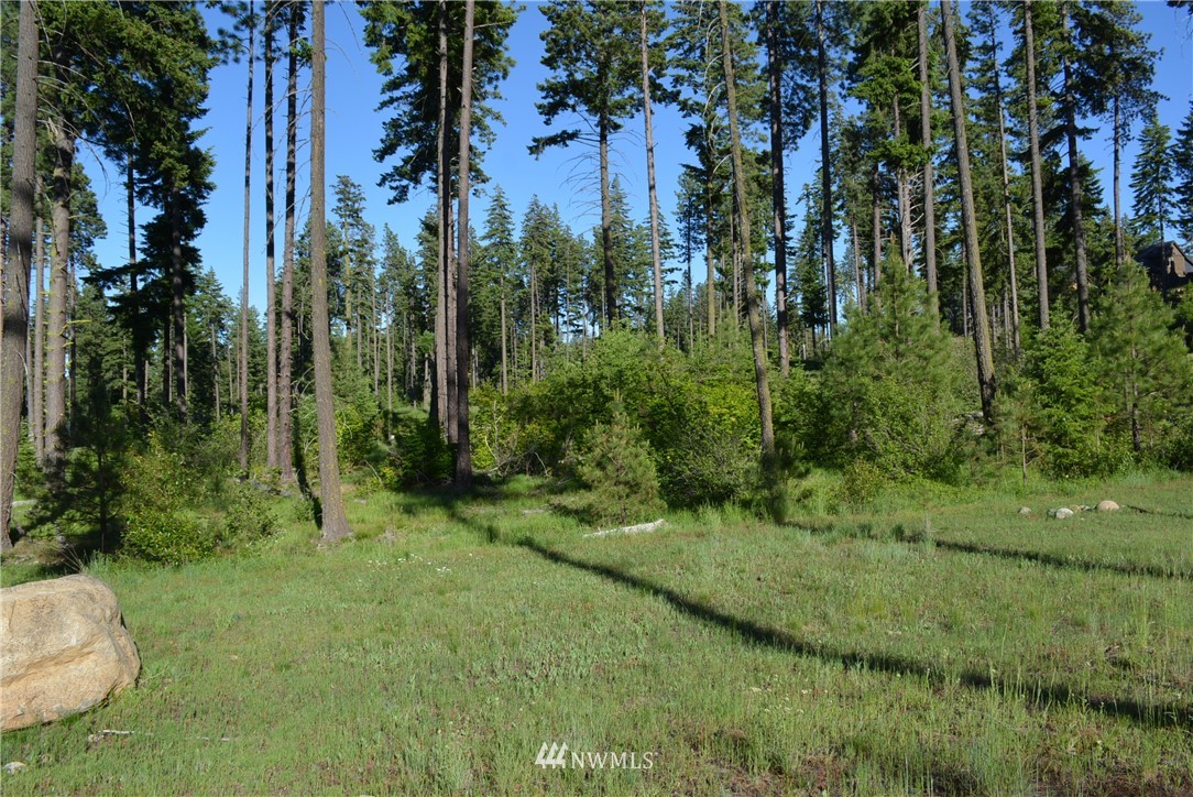 250 Maple Leaf Loop Cle Elum, WA 98922 - Photo 1 of 18 Gallery Image 1