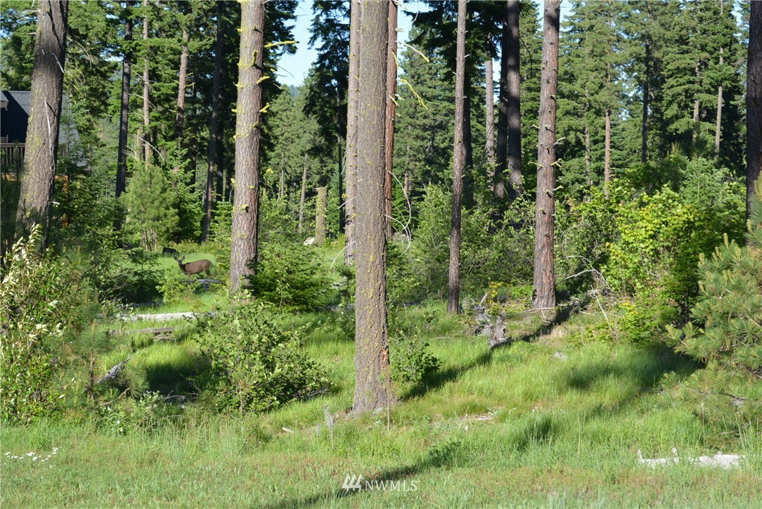 250 Maple Leaf Loop Cle Elum, WA 98922 - Photo 2 of 18 Gallery Image 2