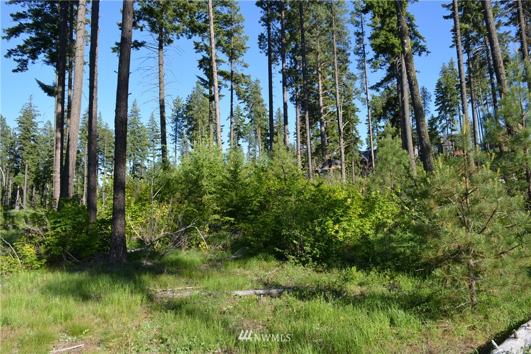 250 Maple Leaf Loop Cle Elum, WA 98922 - Photo 11 of 18 Gallery Image 11
