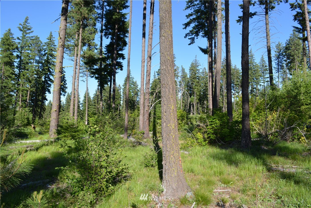 250 Maple Leaf Loop Cle Elum, WA 98922 - Photo 12 of 18 Gallery Image 12