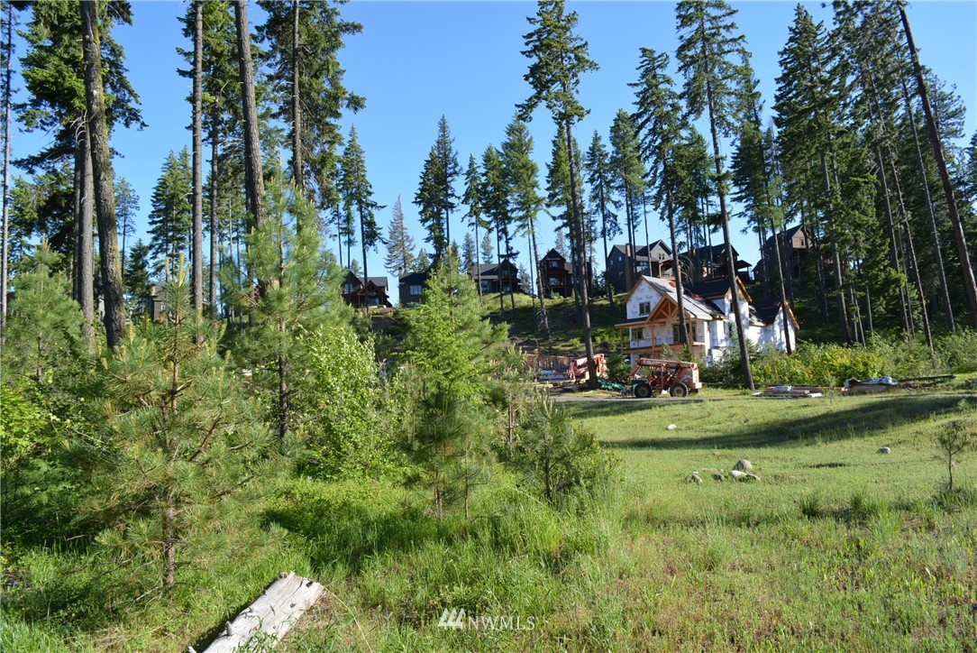 250 Maple Leaf Loop Cle Elum, WA 98922 - Photo 13 of 18 Gallery Image 13