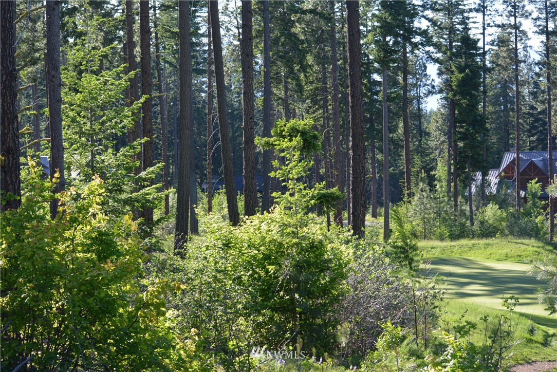 250 Maple Leaf Loop Cle Elum, WA 98922 - Photo 17 of 18 Gallery Image 17