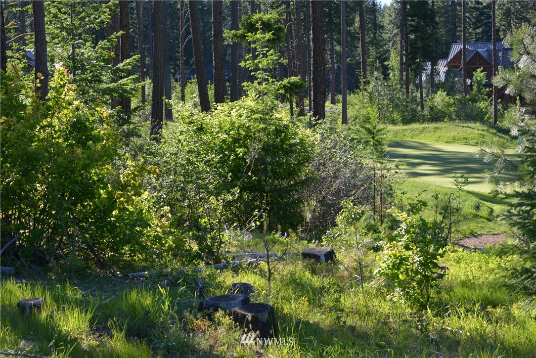 250 Maple Leaf Loop Cle Elum, WA 98922 - Photo 18 of 18 Gallery Image 18