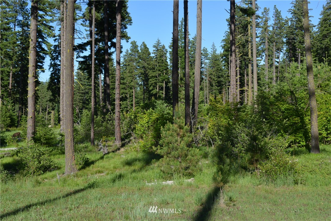 250 Maple Leaf Loop Cle Elum, WA 98922 - Photo 3 of 18 Gallery Image 3