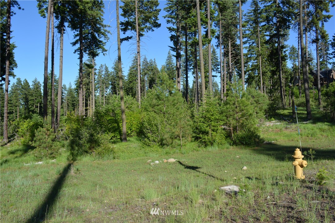 250 Maple Leaf Loop Cle Elum, WA 98922 - Photo 4 of 18 Gallery Image 4