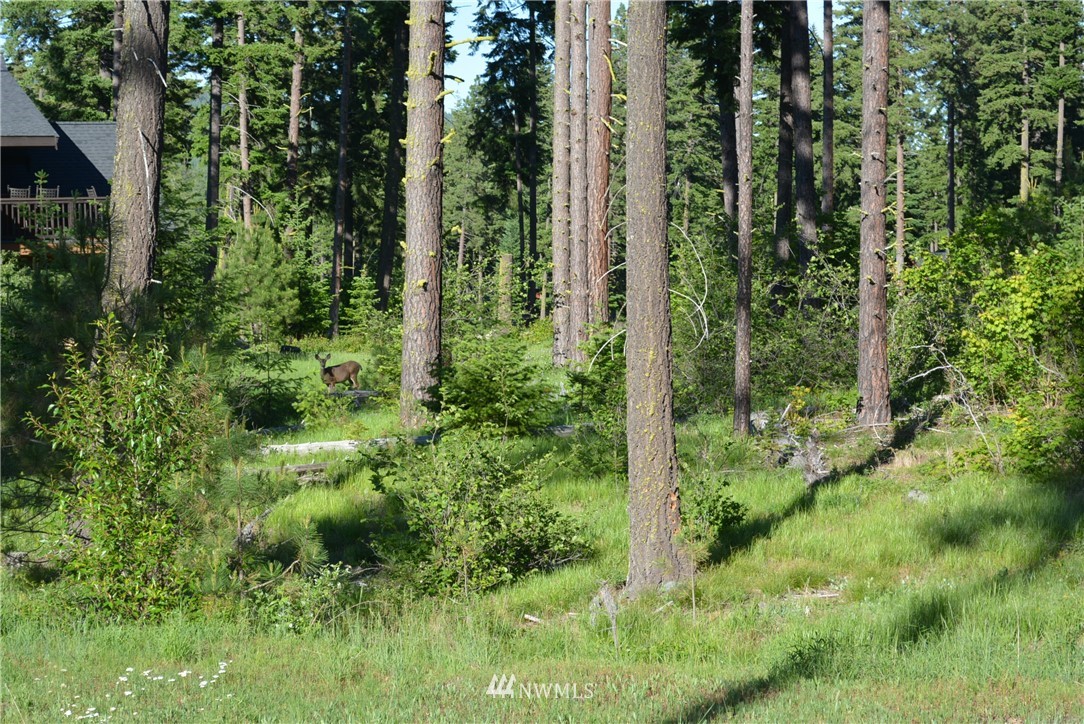 250 Maple Leaf Loop Cle Elum, WA 98922 - Photo 5 of 18 Gallery Image 5