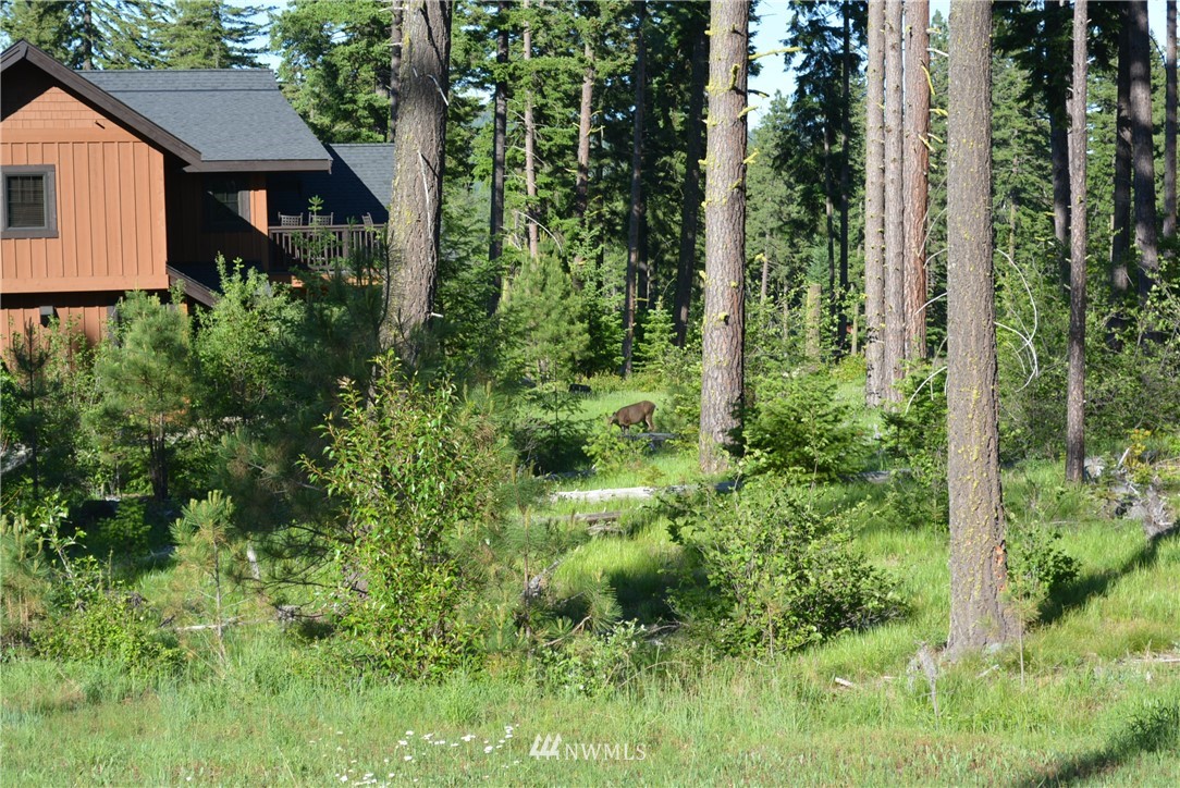 250 Maple Leaf Loop Cle Elum, WA 98922 - Photo 6 of 18 Gallery Image 6