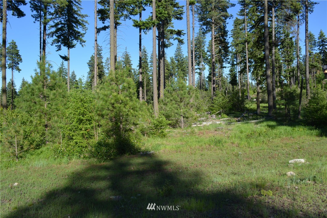 250 Maple Leaf Loop Cle Elum, WA 98922 - Photo 7 of 18 Gallery Image 7