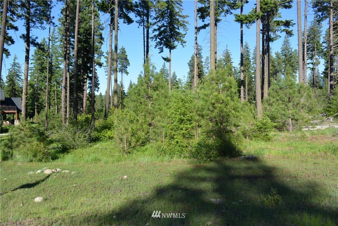250 Maple Leaf Loop Cle Elum, WA 98922 - Photo 8 of 18 Gallery Image 8