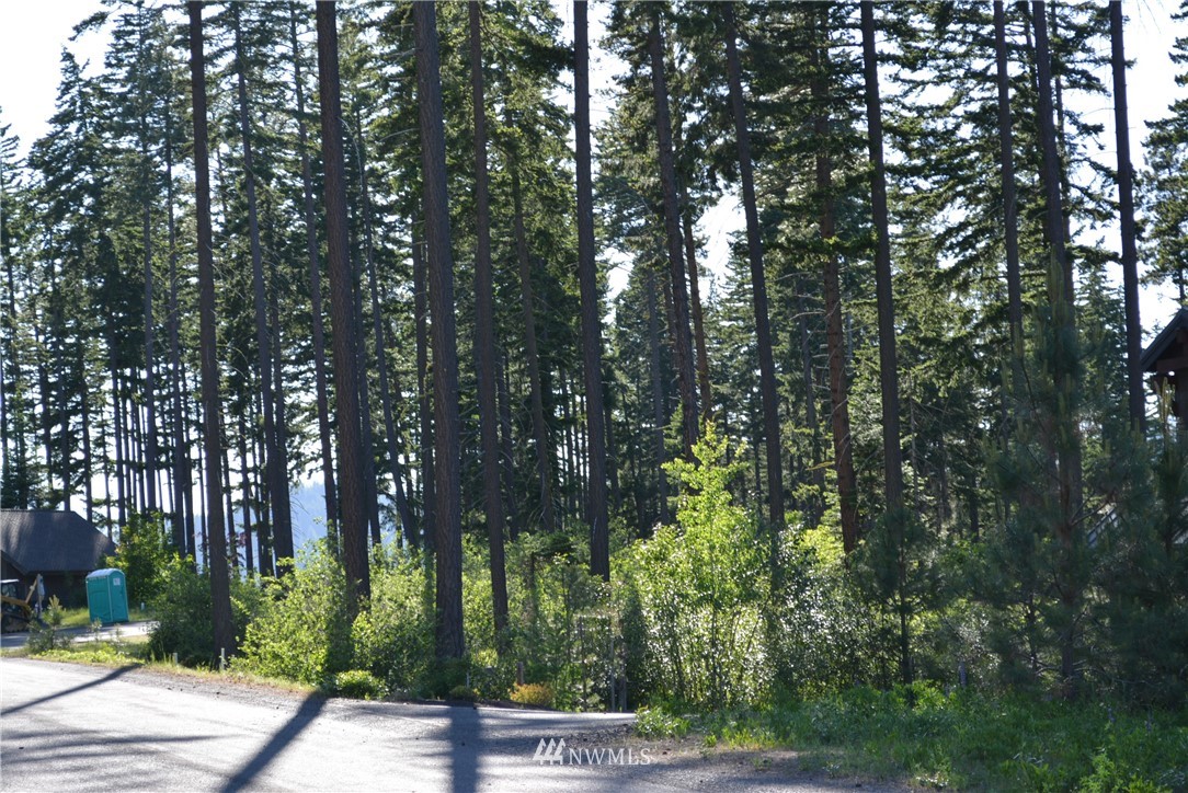 250 Maple Leaf Loop Cle Elum, WA 98922 - Photo 9 of 18 Gallery Image 9