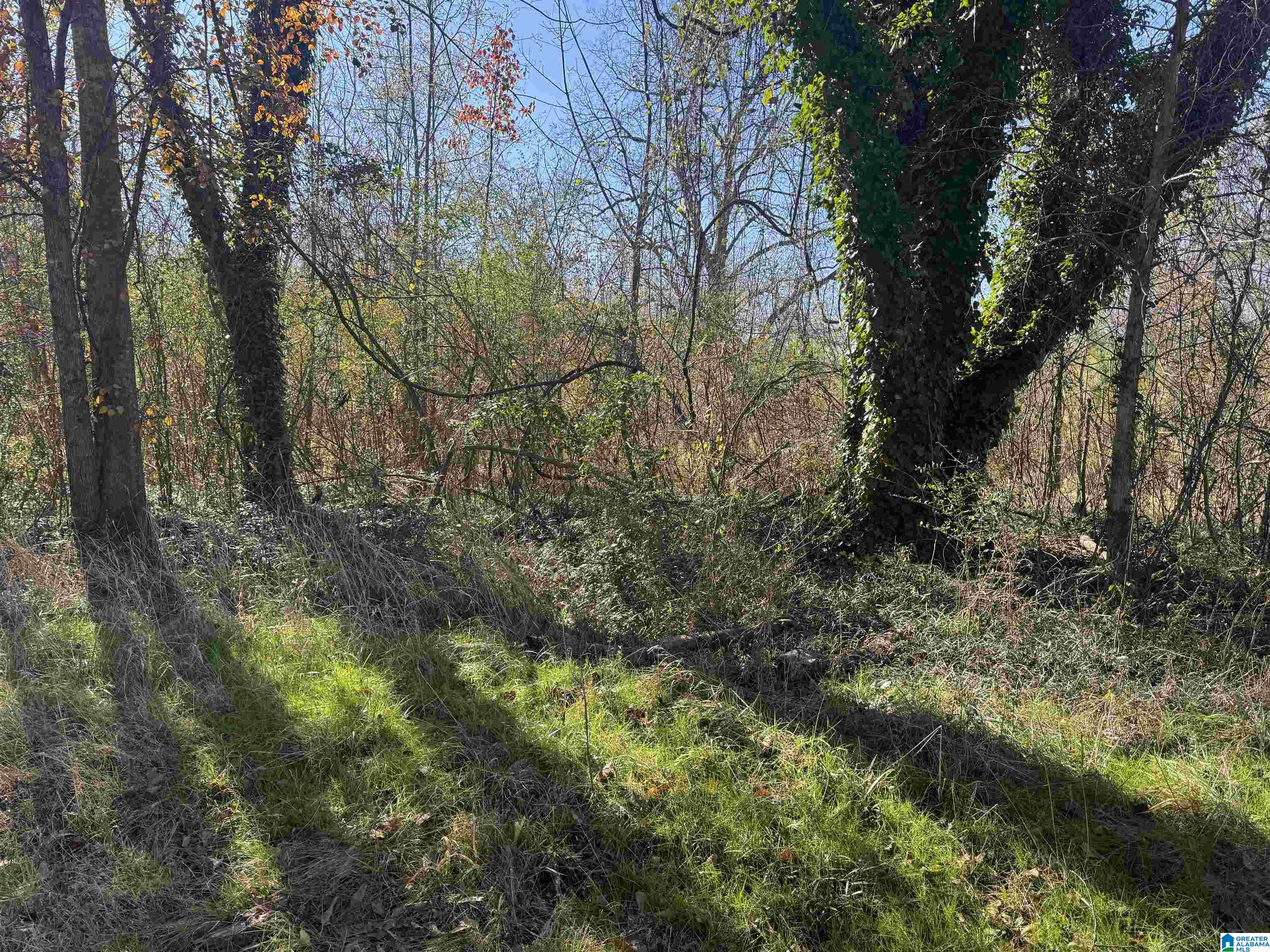0 Glade Road, Unit 1 Anniston, AL 36206 - Photo 7 of 30