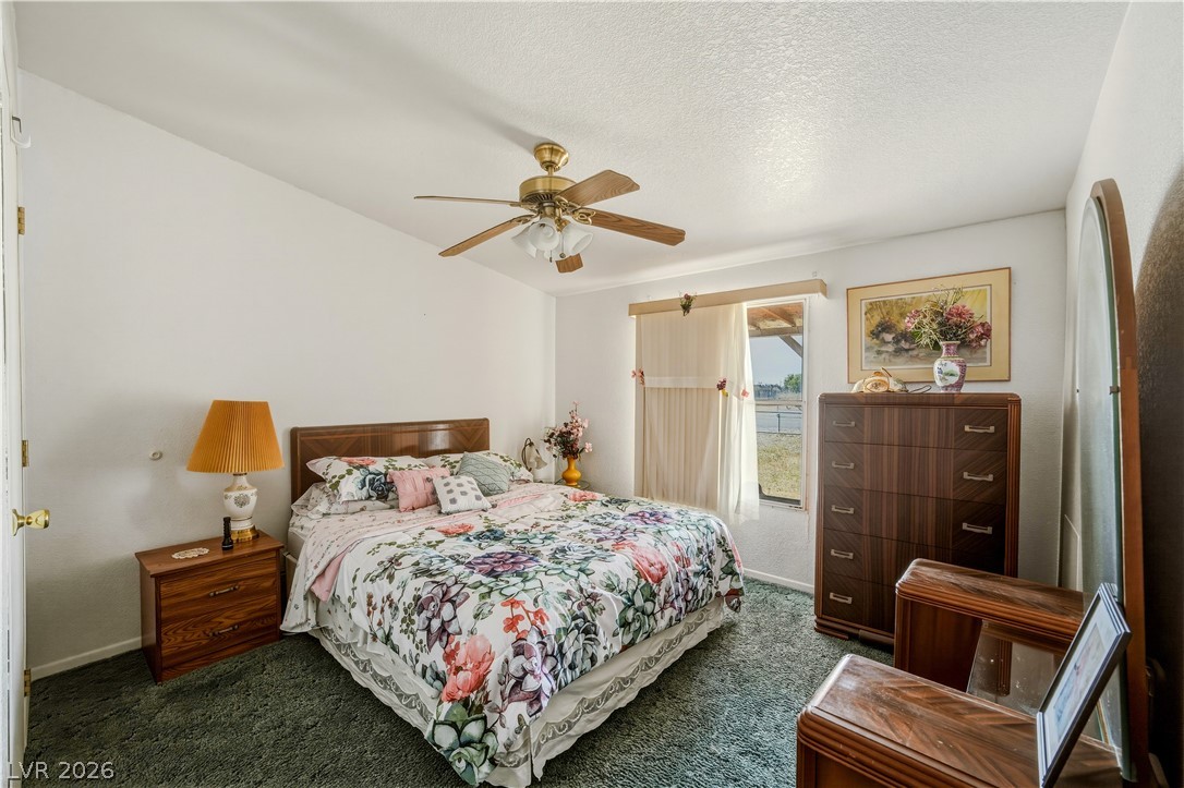 1320 Piltz Road Pahrump, NV 89060 - Photo 24 of 55