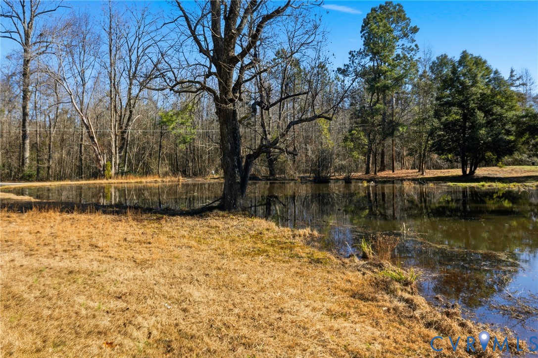 6106 Lewis Road Petersburg, VA 23803 - Photo 19 of 29 a backyard of a house with lots of green space