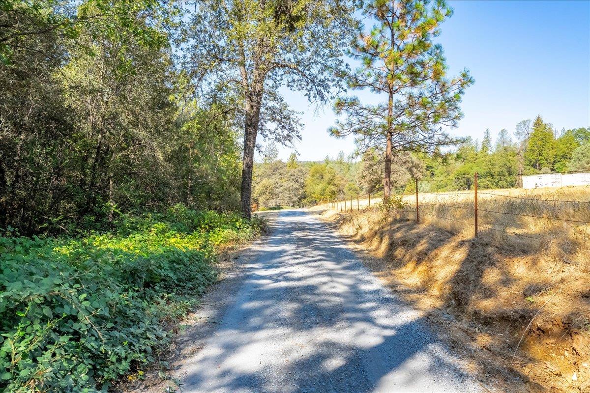 5595 Hackomiller Road Garden Valley, CA 95633 - Photo 9 of 42 Gallery Image 9