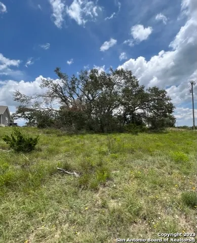 a view of yard with green space