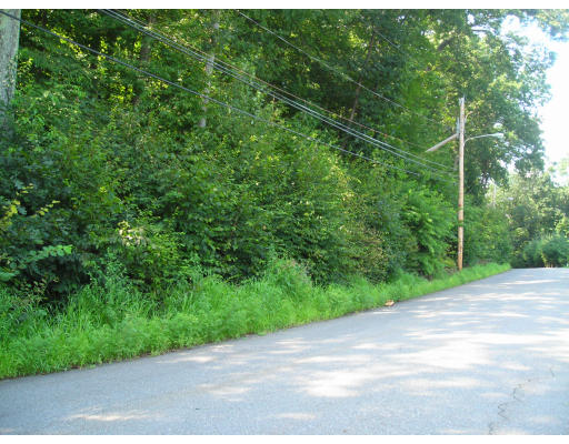 77 Harvard Road Shirley, MA 01464 - Photo 1 of 1 a view of a field with a tree