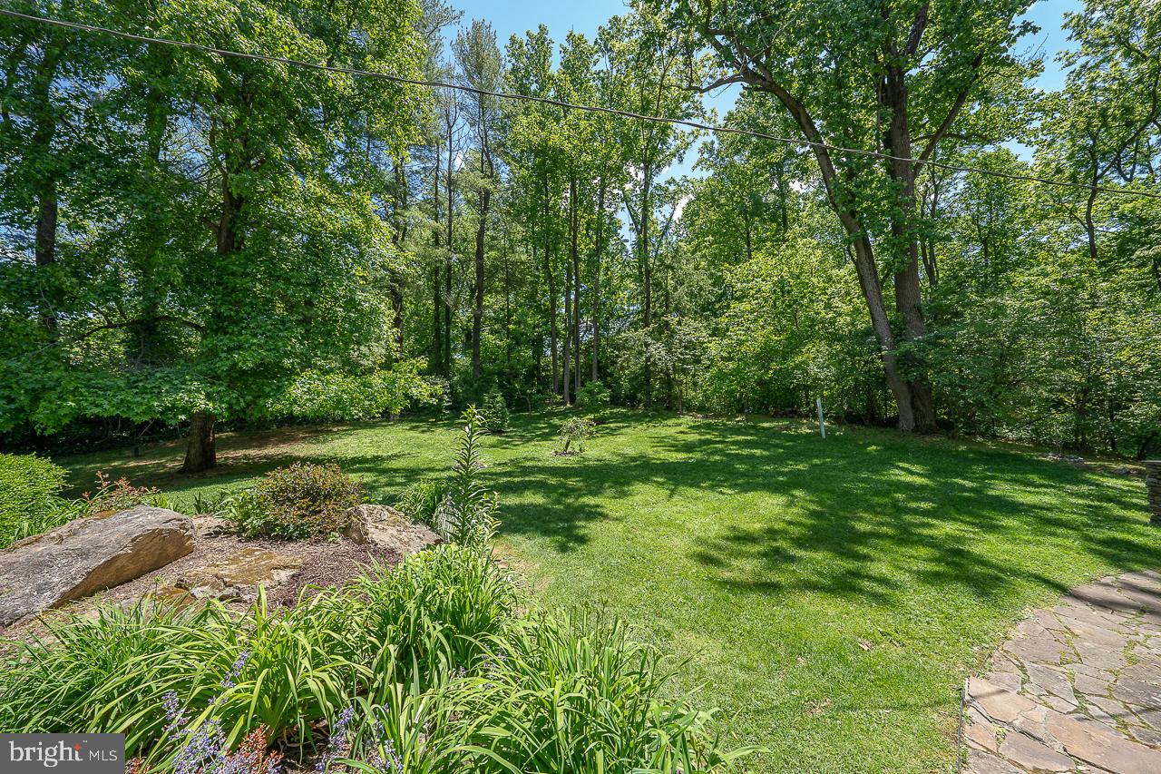 1471 Church Road Malvern, PA 19355 - Photo 66 of 73 LUSH YARD